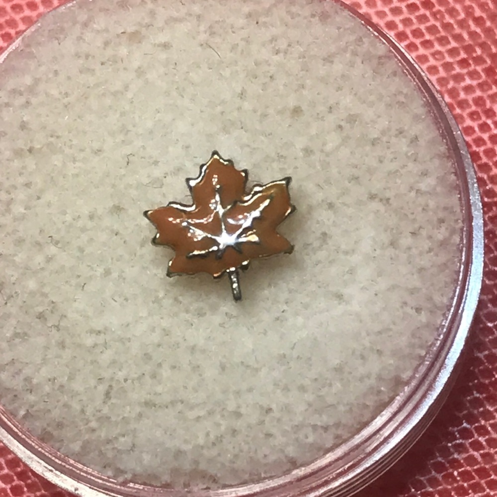 3/$10 Origami Owl Maple Leaf Charm